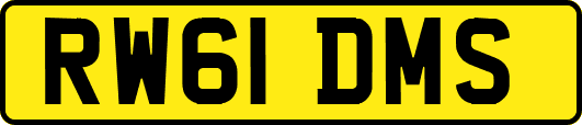 RW61DMS