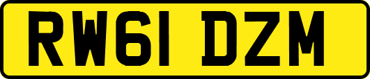RW61DZM