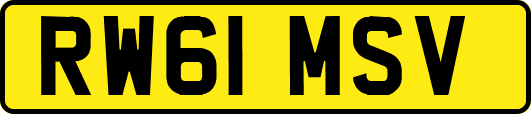 RW61MSV