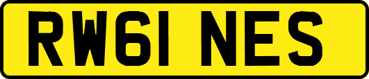 RW61NES