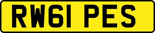 RW61PES
