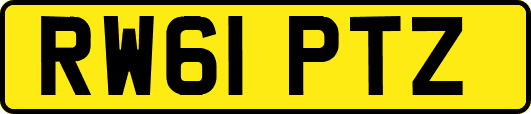 RW61PTZ