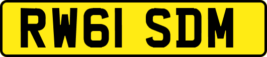 RW61SDM