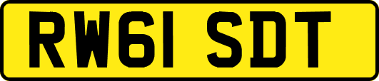 RW61SDT