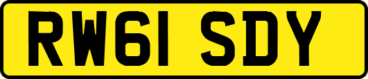 RW61SDY