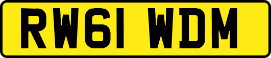 RW61WDM