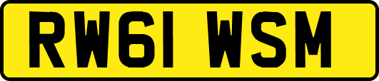 RW61WSM