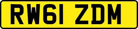 RW61ZDM