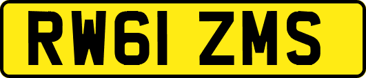 RW61ZMS