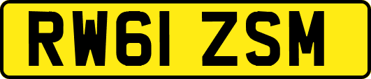 RW61ZSM