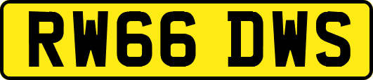 RW66DWS