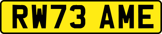 RW73AME