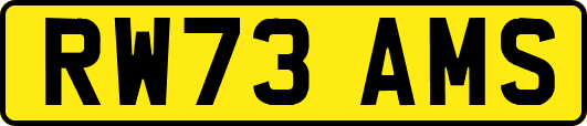 RW73AMS