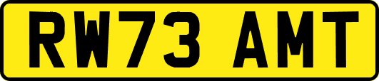 RW73AMT