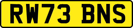RW73BNS