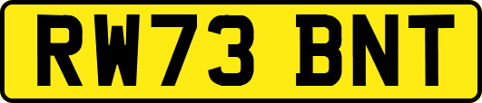 RW73BNT