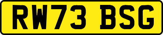 RW73BSG