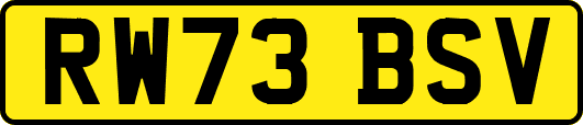 RW73BSV