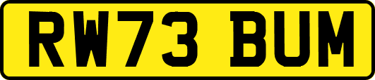 RW73BUM