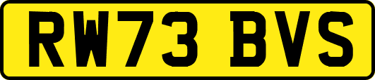 RW73BVS