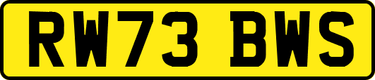 RW73BWS