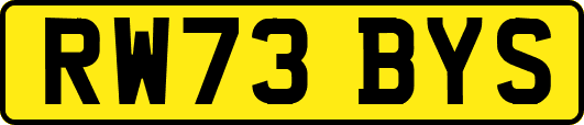 RW73BYS