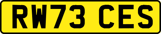 RW73CES