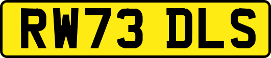 RW73DLS
