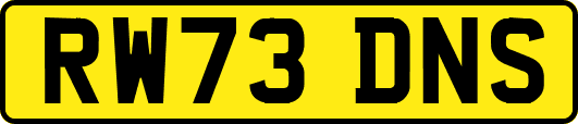 RW73DNS