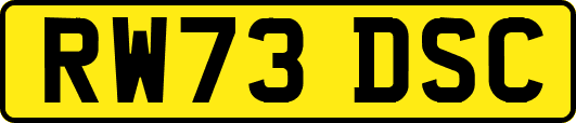 RW73DSC