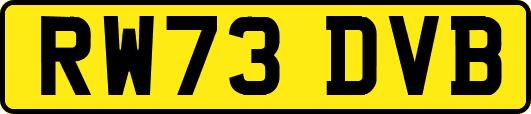RW73DVB