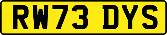RW73DYS