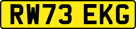 RW73EKG
