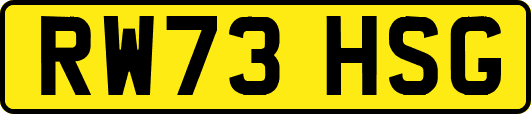 RW73HSG