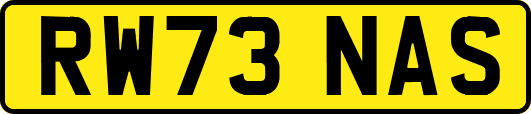 RW73NAS