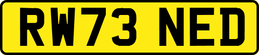 RW73NED