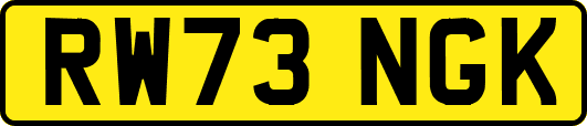 RW73NGK
