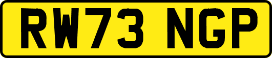 RW73NGP