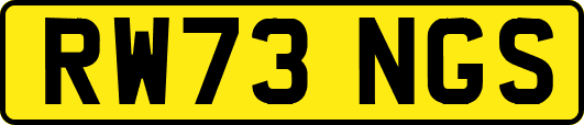 RW73NGS