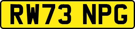 RW73NPG