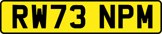 RW73NPM