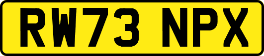 RW73NPX