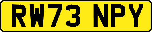 RW73NPY