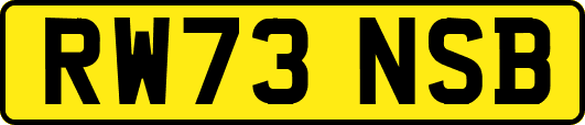 RW73NSB