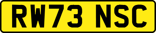 RW73NSC