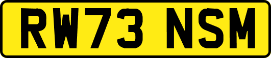 RW73NSM