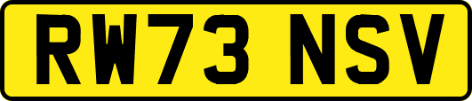 RW73NSV