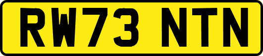 RW73NTN