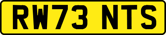 RW73NTS