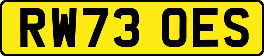 RW73OES